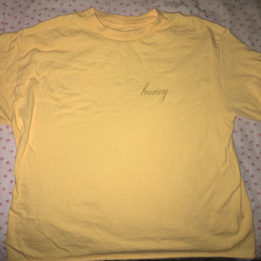 J Galt/ Brandy Melville Honey cropped T shirt